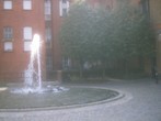 [Image #3]