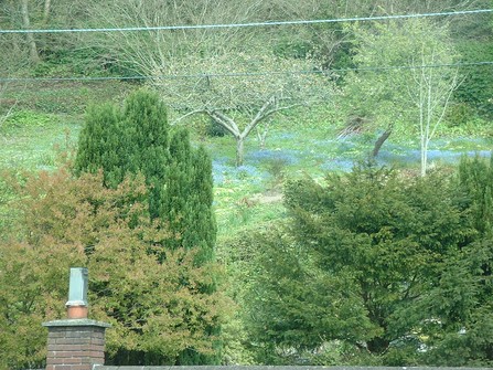£570,000 - 4 BEDROOM HOUSE (DETACHED) Ref No.872212